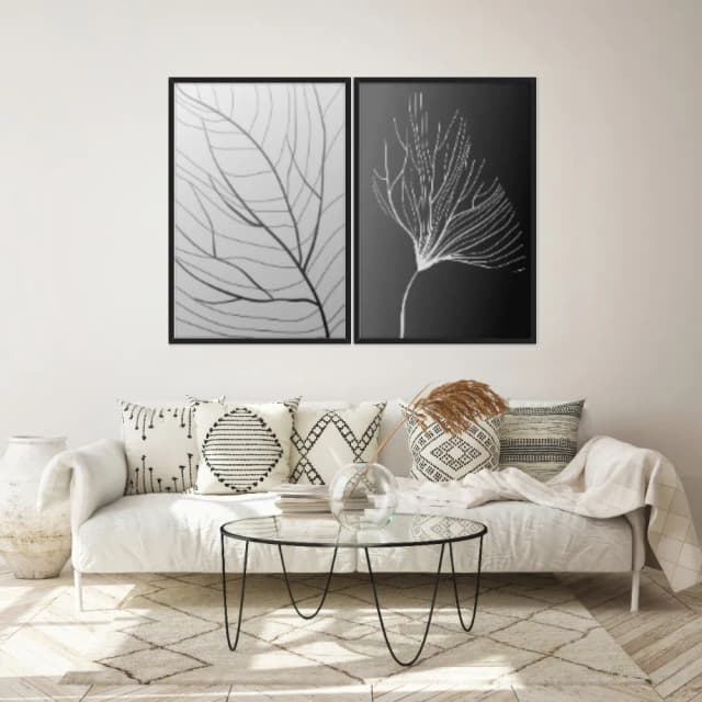 Kit Quadros Decorativos Folha Raio X