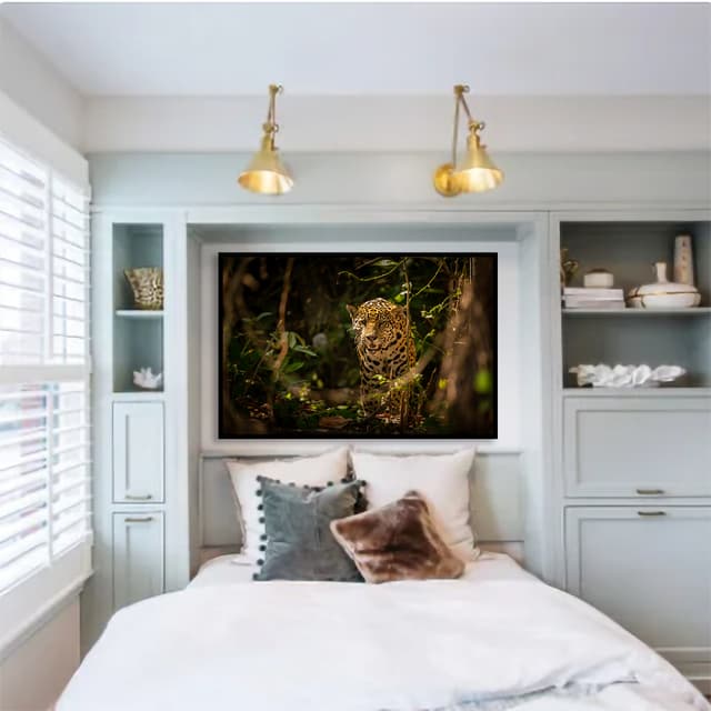 Pantanal Brasileiro - Onça