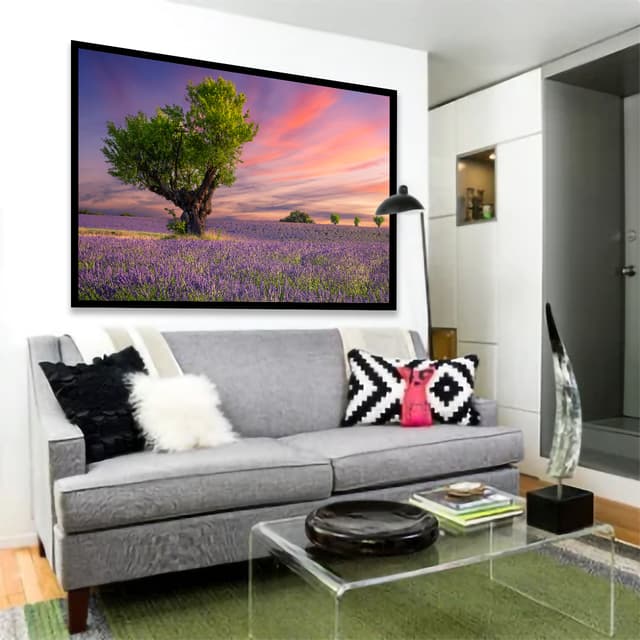 Campos de Lavanda - Cunha - SP